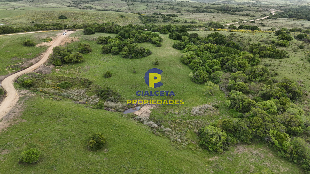 Chacra ID.558 - 3 hectáreas en Paso de La Cantera