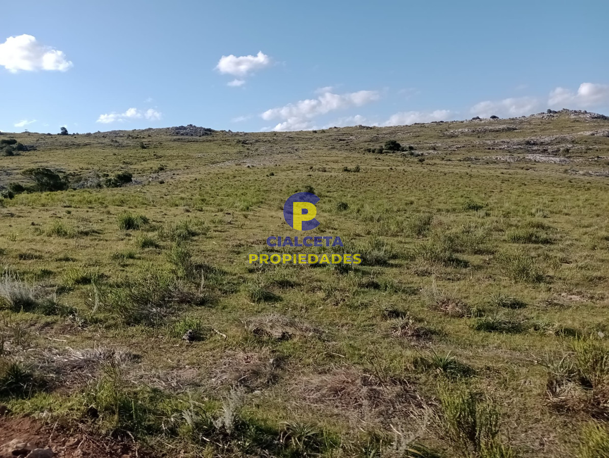 Maldonado - GoPunta - Portal Inmobiliario de Punta del Este - Maldonado