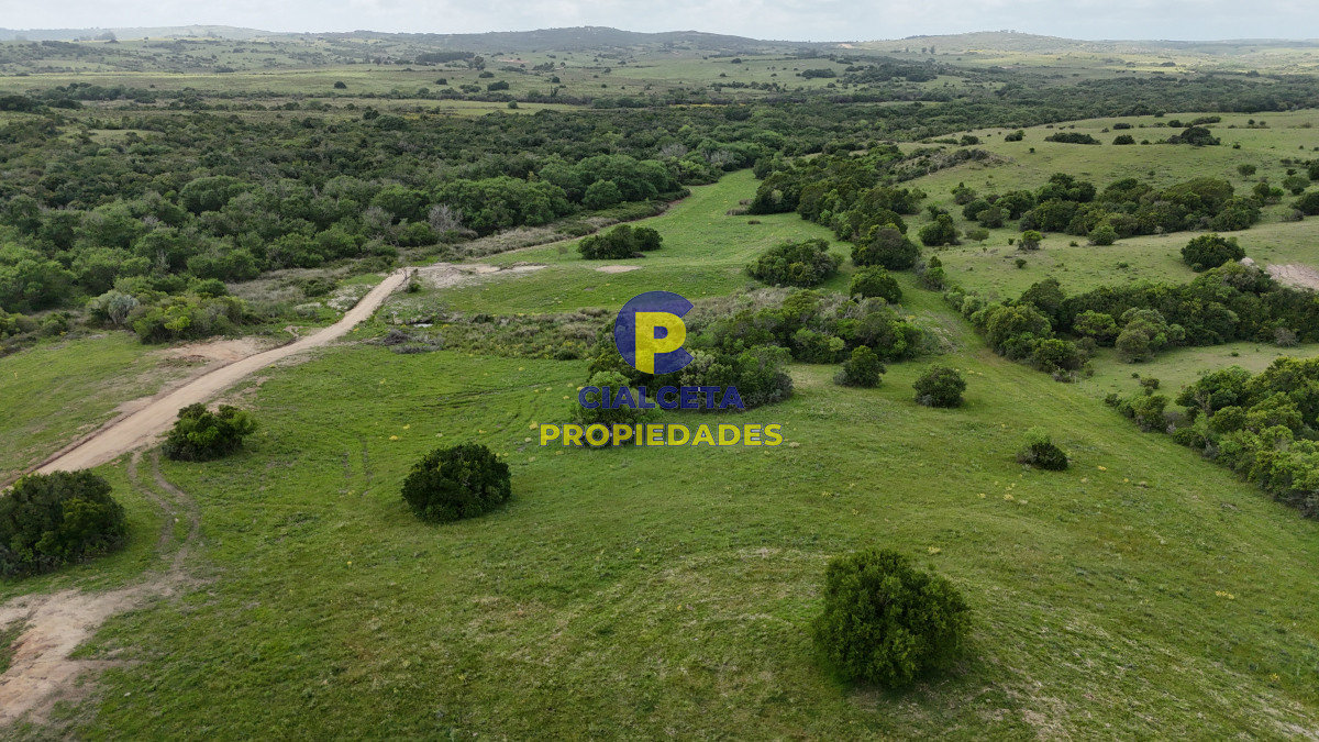 Chacra ID.559 - 3 hectáreas en Maldonado, preciosa chacra