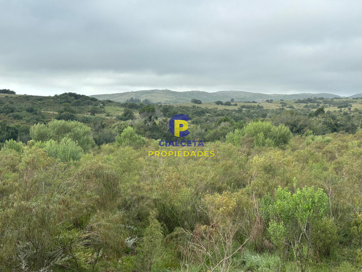 Chacra ID.407 - 3 hectáreas en Las Cañas