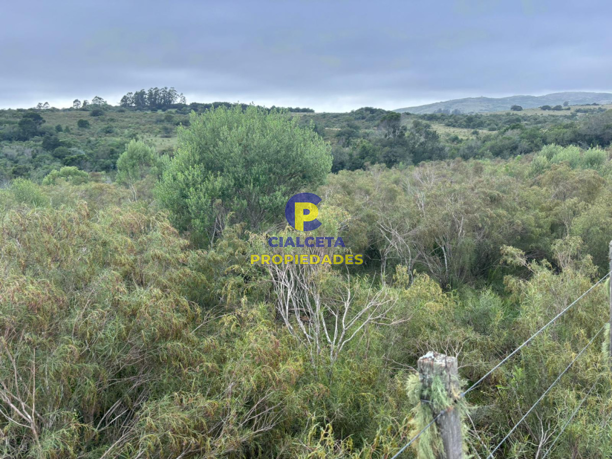 Chacra ID.407 - 3 hectáreas en Las Cañas