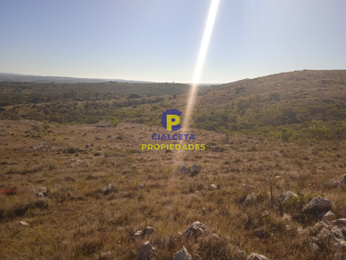 Chacra ID.380 - 5 hectáreas, entrega y saldo en 60 cuotas