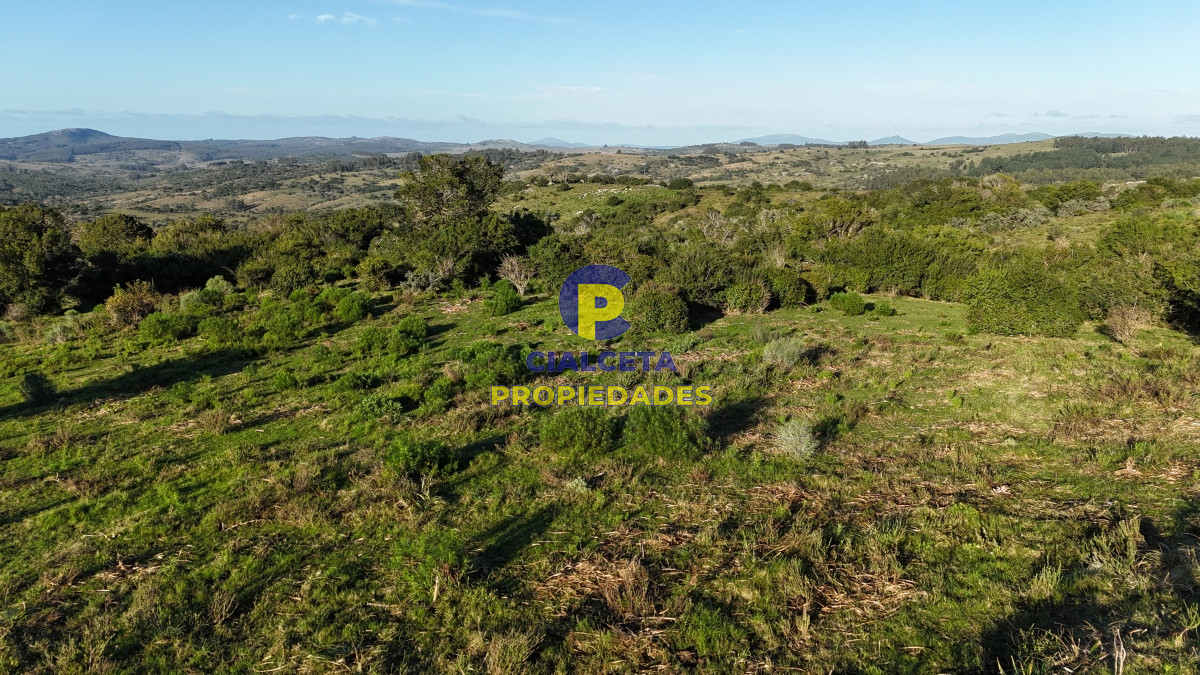 Chacra ID.456 - 4  hectáreas con monte nativo en Maldonado