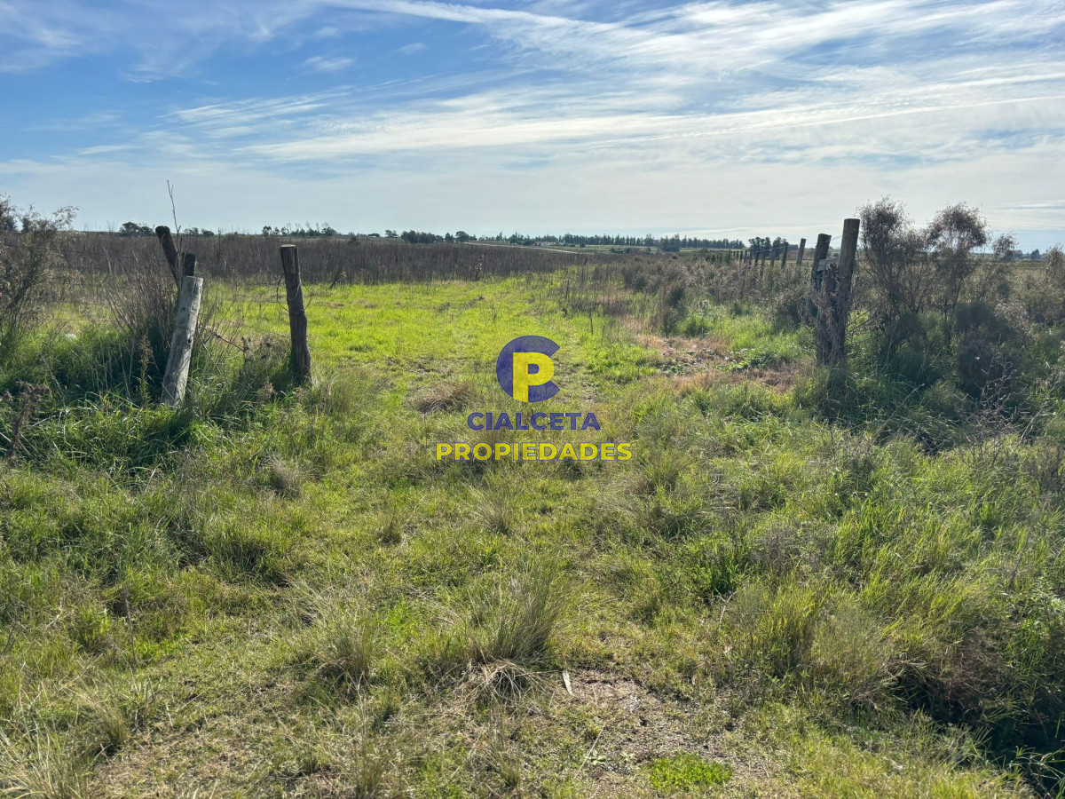 Chacra ID.432 - 3 hectáreas en Canelones, entrega 20 mil y saldo a dos años