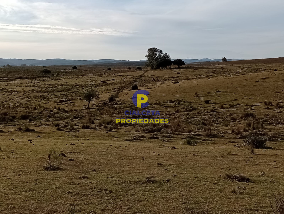 Chacra ID.266 - 5 hectáreas en maldonado