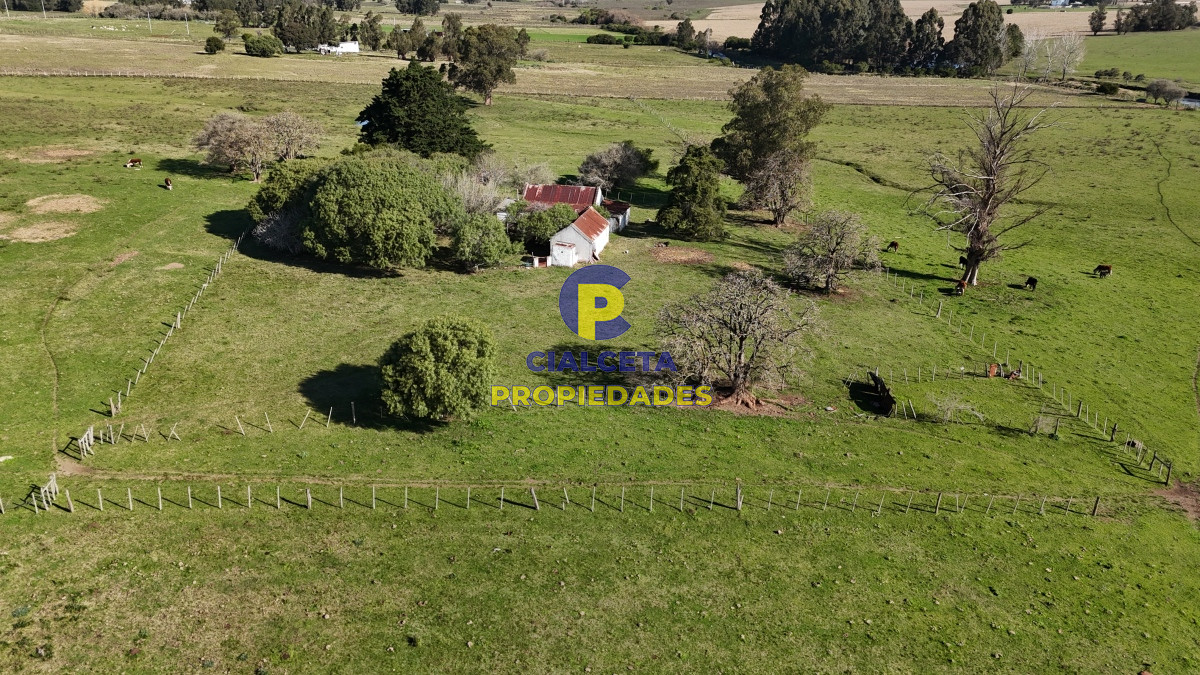 Chacra ID.516 - 15 hectáreas y media con arroyo en el fondo
