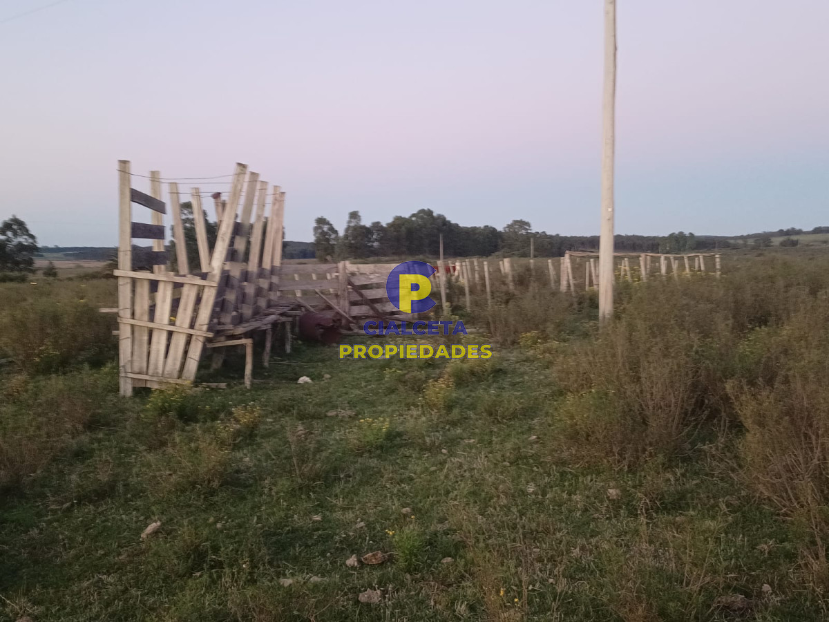 Chacra ID.547 - 10 hectáreas con casa y arroyo