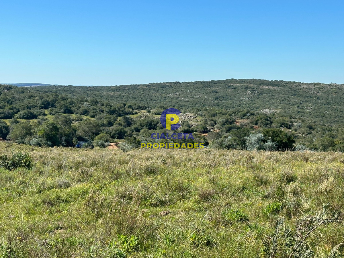 Chacra ID.423 - 5 hectáreas para 38.000 dólares, se financia