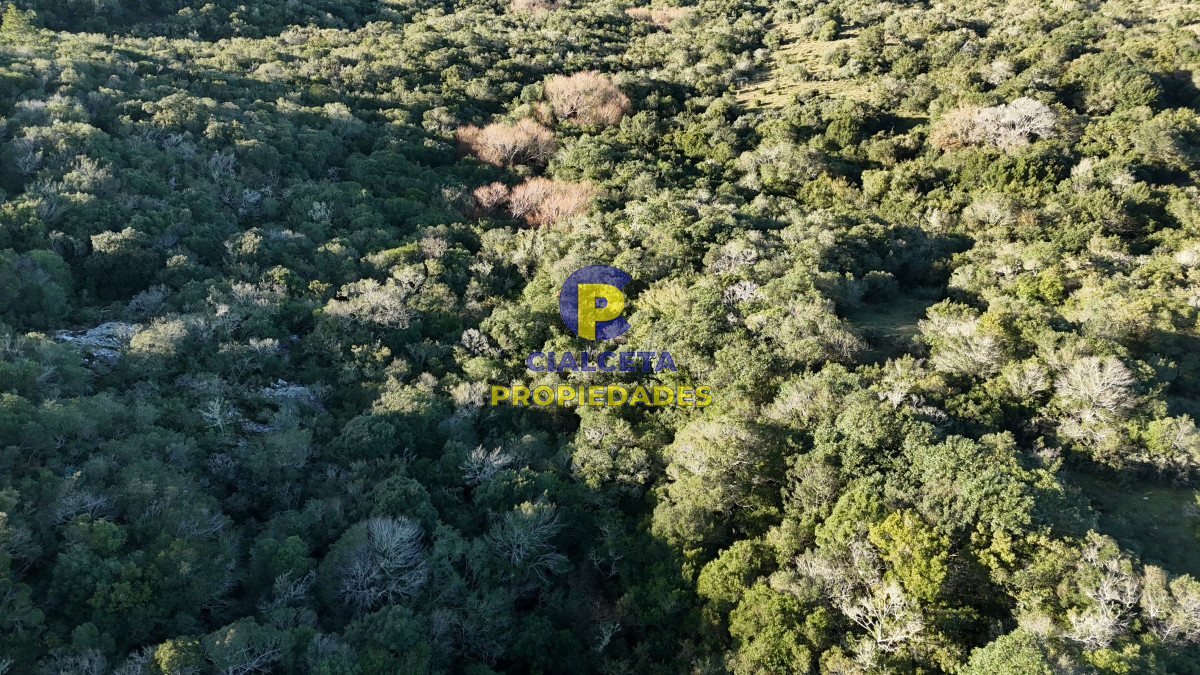 Chacra ID.456 - 4  hectáreas con monte nativo en Maldonado