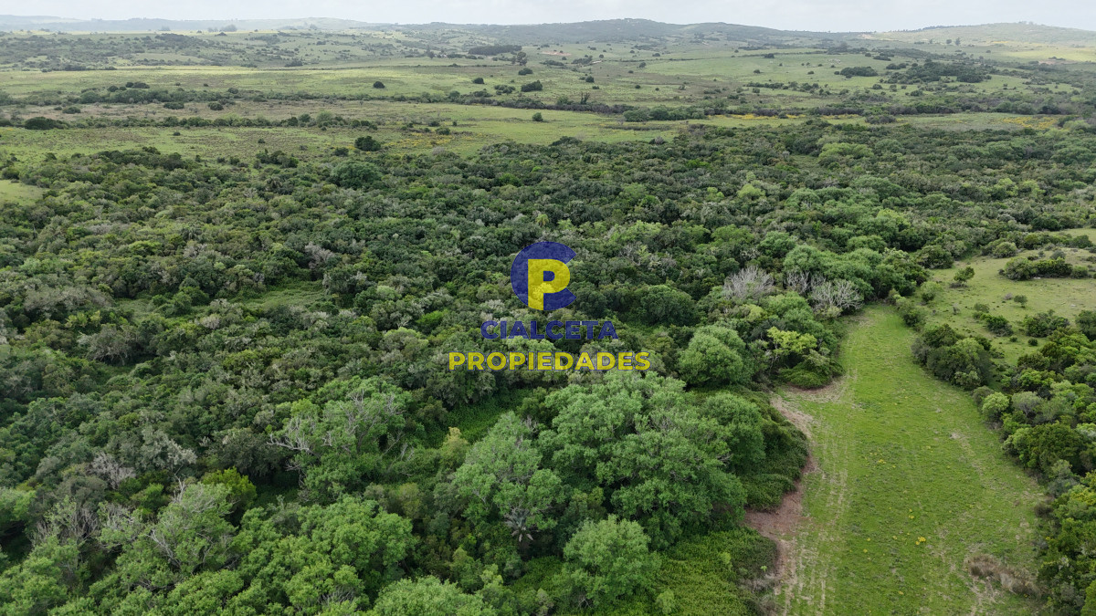Chacra ID.561 - 5 hectáreas con monte y arroyo José Ignacio