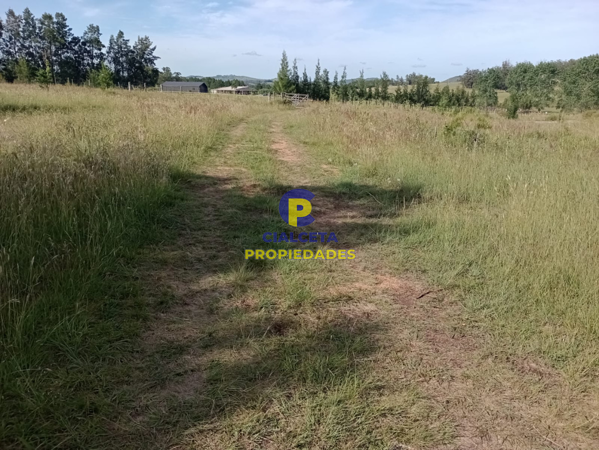 Chacra ID.438 - 5 hectáreas en Pueblo Edén, con casa nueva