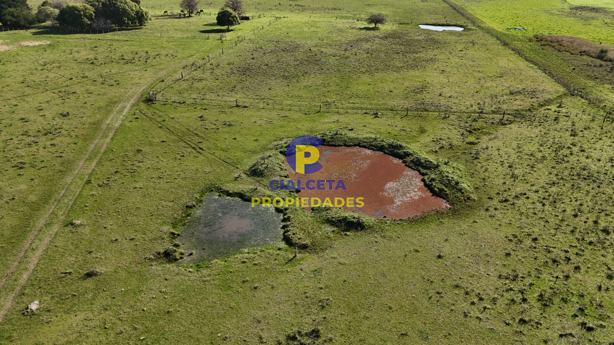 Chacra ID.516 - 15 hectáreas y media con arroyo en el fondo
