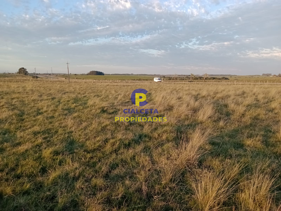 Chacra ID.237 - 5 hectáreas e Maldonado
