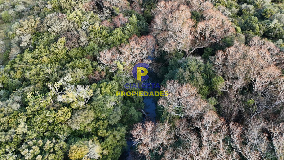 Chacra ID.571 - 3 hectáreas en Pueblo Edén con arroyo y monte nativo