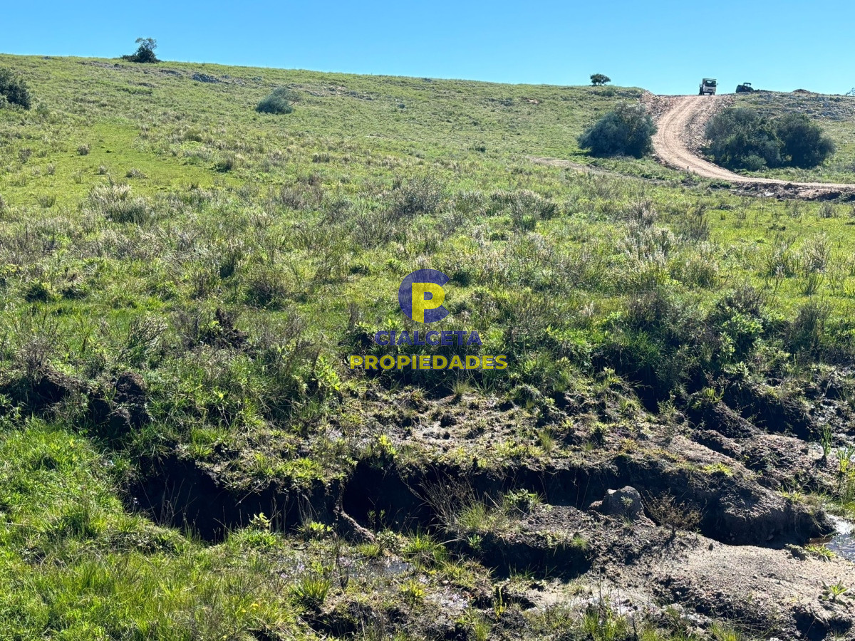Chacra ID.423 - 5 hectáreas para 38.000 dólares, se financia