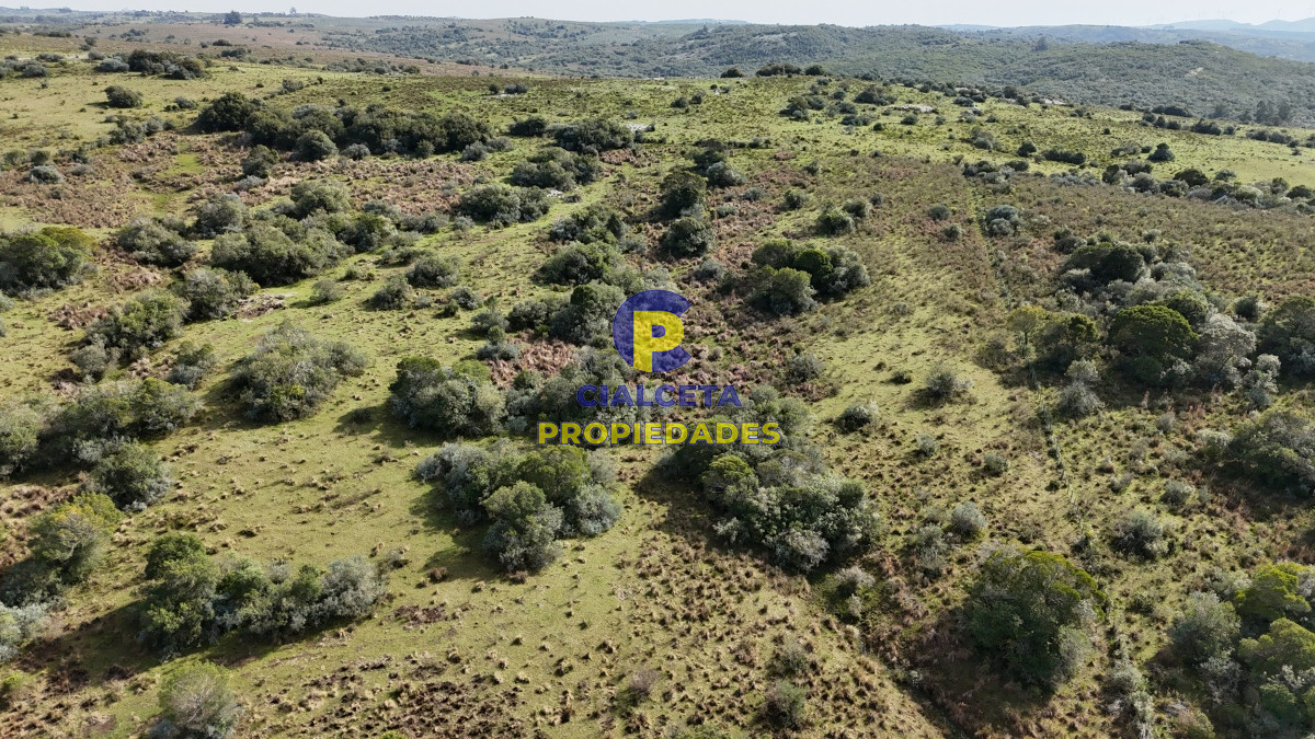Chacra ID.517 - 3 hectáreas en Maldonado, se financia