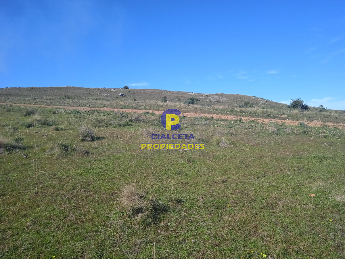 Las Cañas - GoPunta - Portal Inmobiliario de Punta del Este - Maldonado