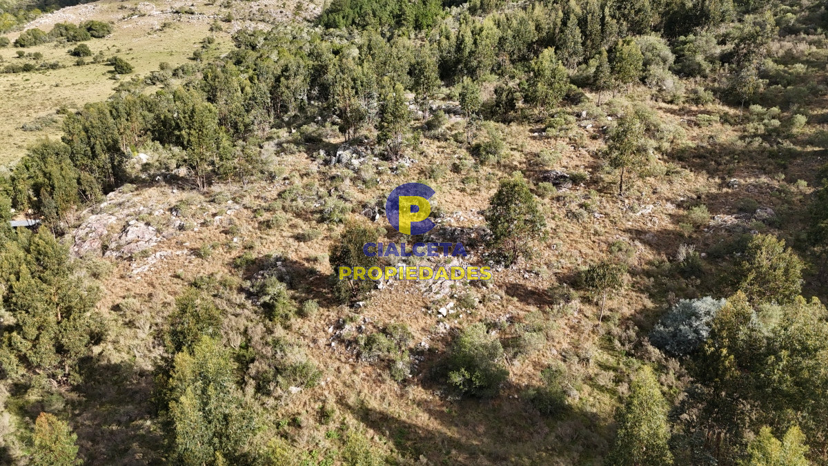 Chacra ID.458 - 5 hectáreas con entrega de 8 mil dólares se financia
