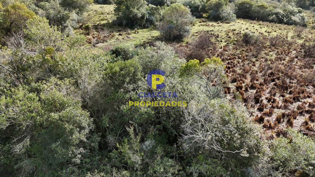 Chacra ID.517 - 3 hectáreas en Maldonado, se financia