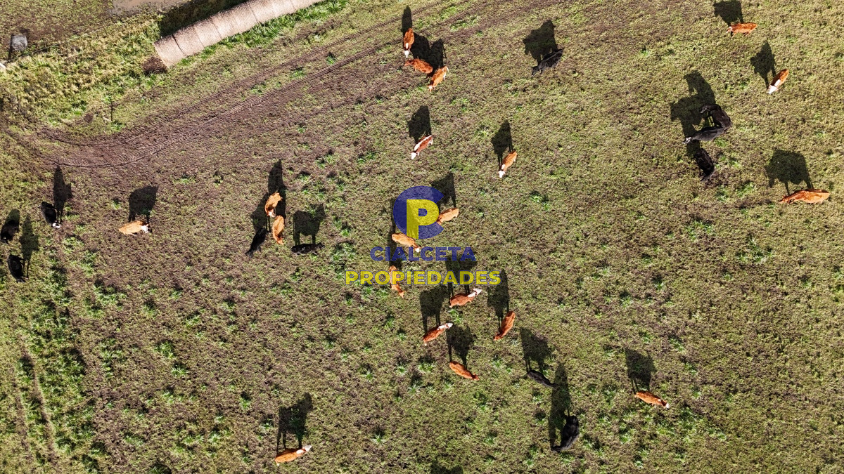 Chacra ID.453 - 9 hectáreas y media con arroyo en el fondo
