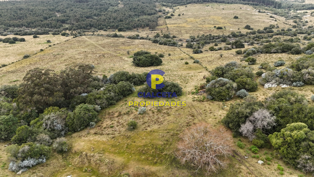 Chacra ID.479 - 14 hectáreas y media con población y arroyito en el fondo