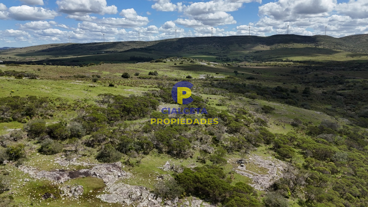 Chacra ID.535 - 3 hectáreas a 25 km de San Carlos, se financian