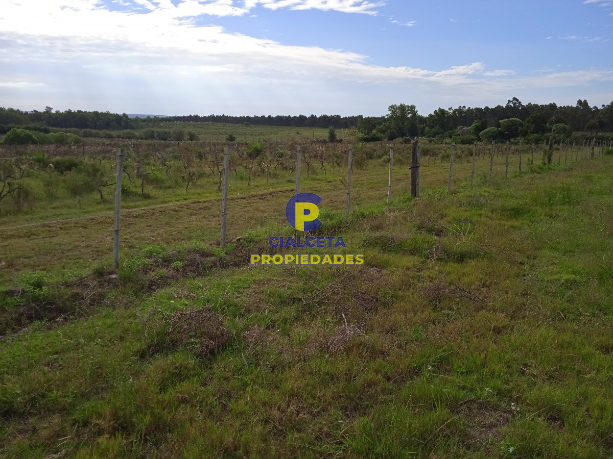 Chacra ID.201 - 3 hectáreas en Canelones