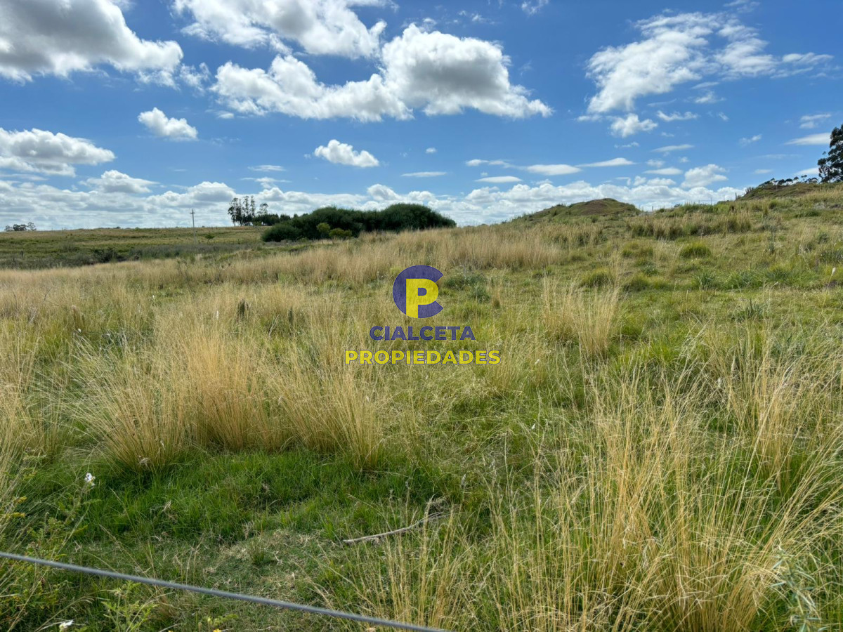 Chacra ID.396 - 3 hectáreas y media en Migues, se financia !!!!, oportunidad