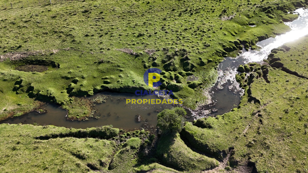 Chacra ID.516 - 15 hectáreas y media con arroyo en el fondo