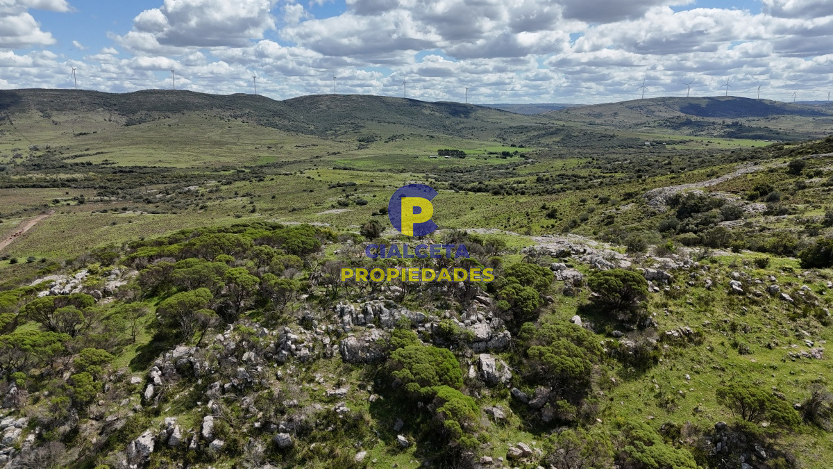 Chacra ID.533 - Chacra de 3 hectáreas financiada a 28 minutos de San Carlos