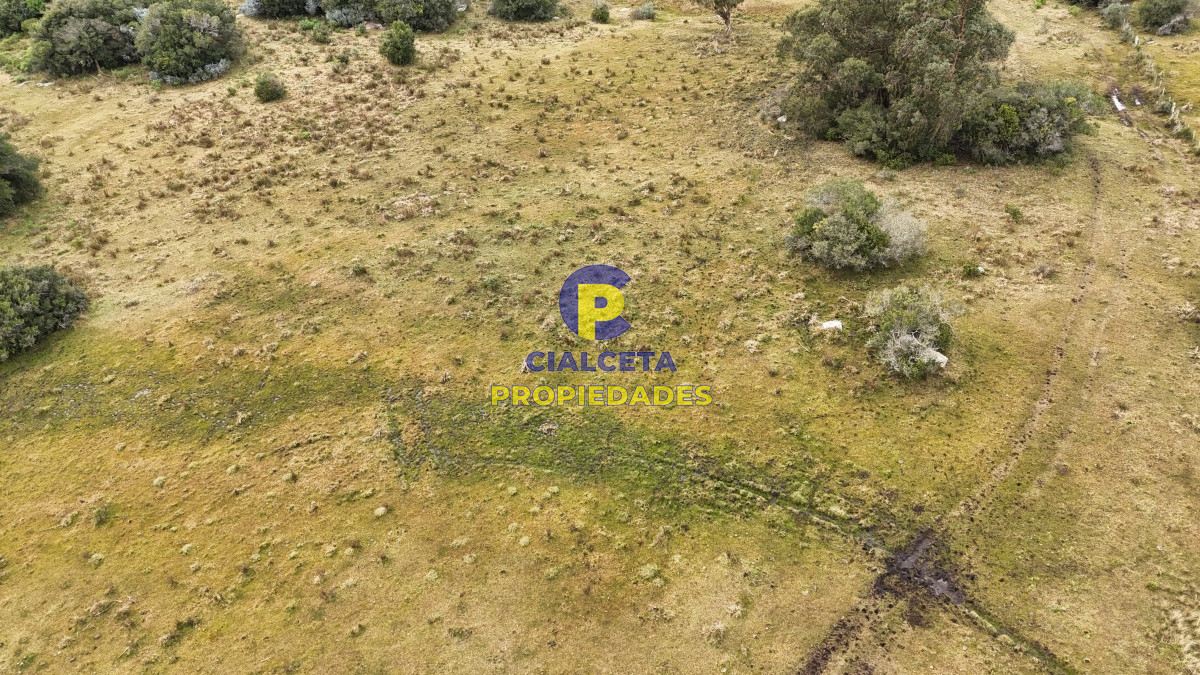 Chacra ID.479 - 14 hectáreas y media con población y arroyito en el fondo