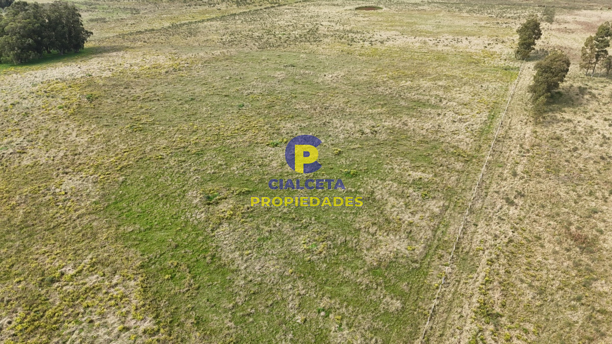 Chacra ID.529 - 3 hectáreas en Noya, departamento de Canelones