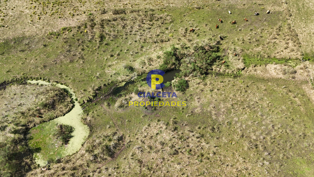 Chacra ID.527 - 3 hectáreas en Migues con aguada y linda vista