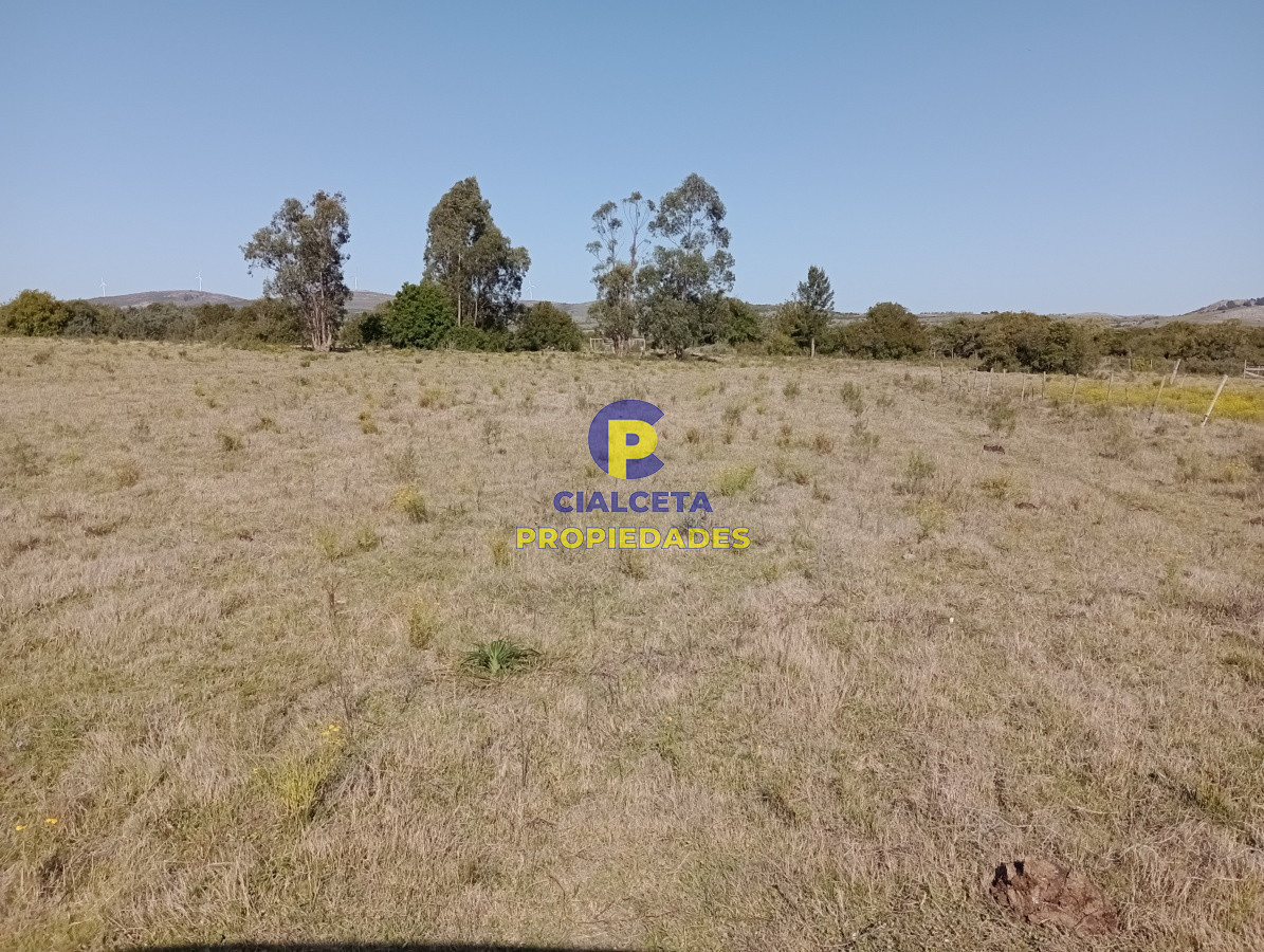 Chacra ID.213 - 11 hectáreas en Pueblo Edén