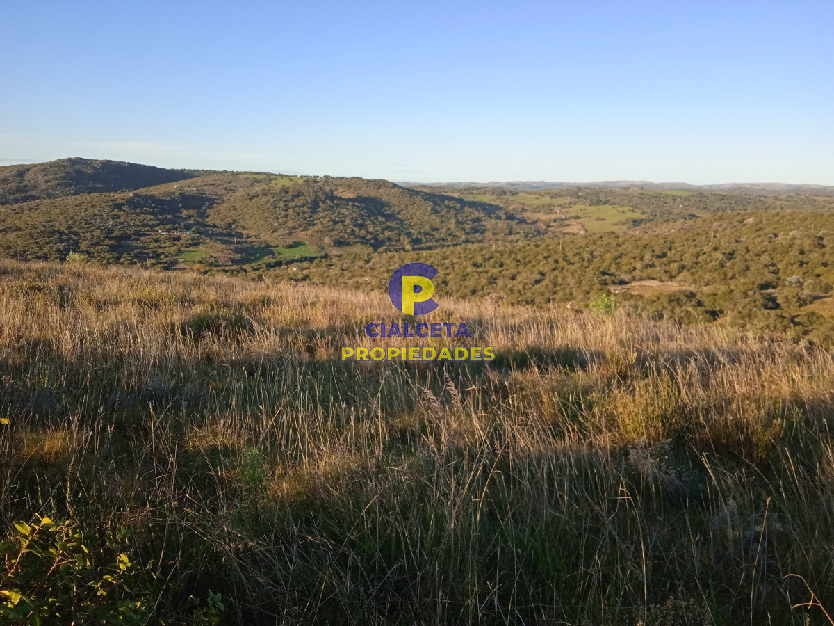 Chacra ID.44 - 5 hectáreas en ruta 39