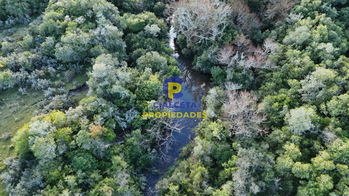 Chacra ID.571 - 3 hectáreas en Pueblo Edén con arroyo y monte nativo
