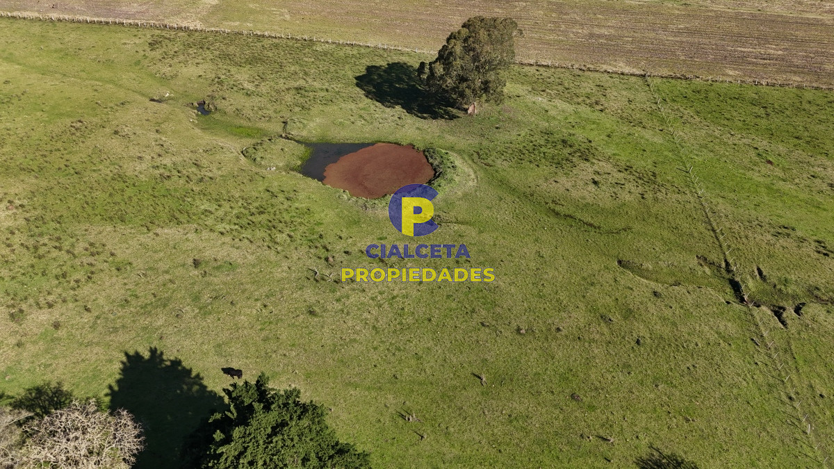 Chacra ID.516 - 15 hectáreas y media con arroyo en el fondo