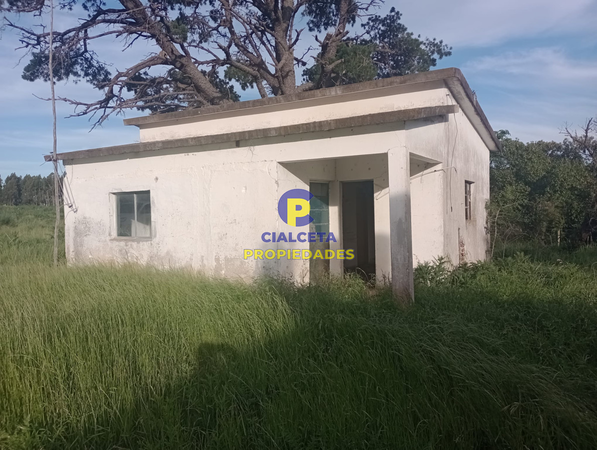 Chacra ID.389 - 3 hectáreas con casa a reparar en Soca