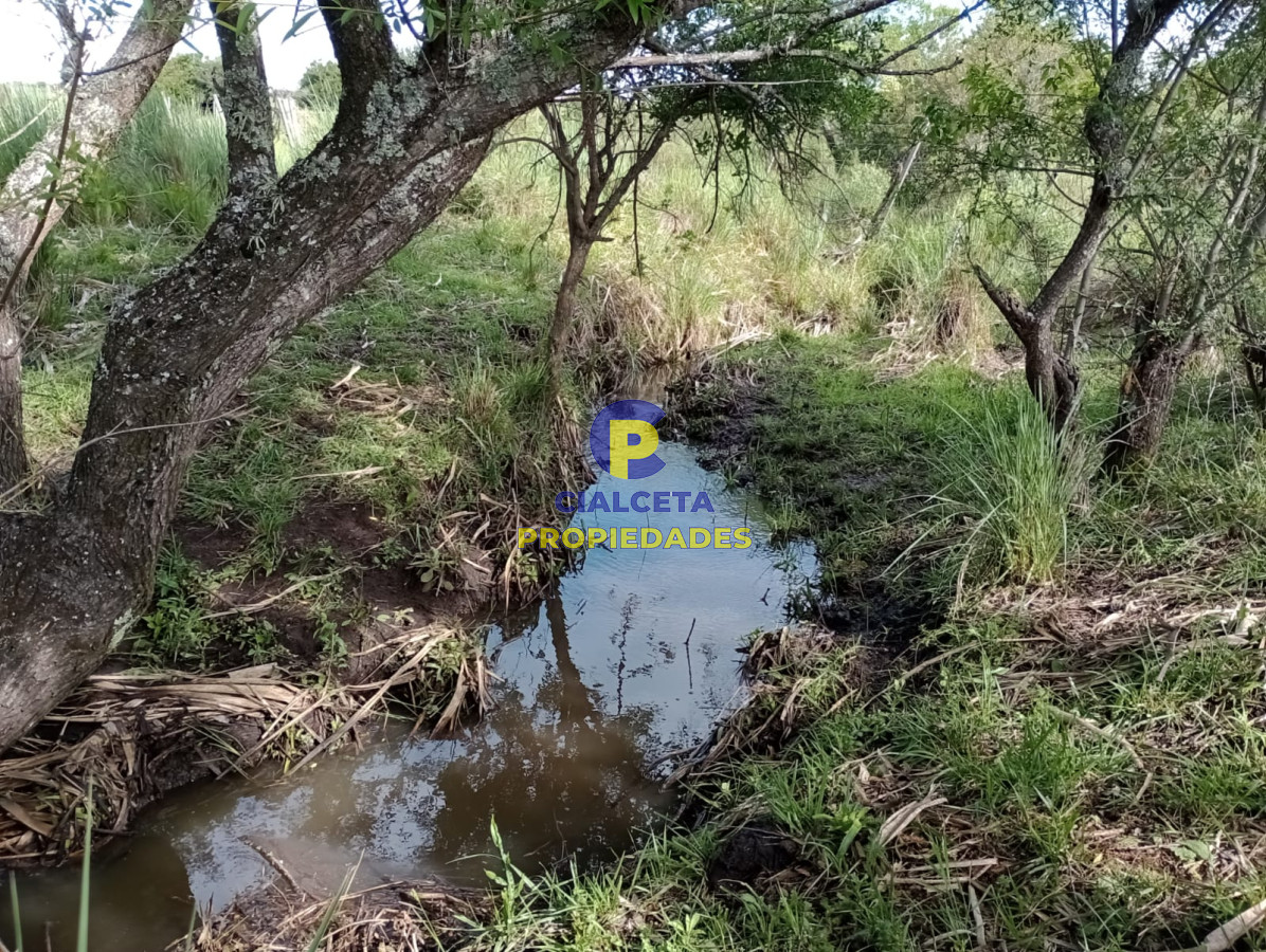 Chacra ID.438 - 5 hectáreas en Pueblo Edén, con casa nueva