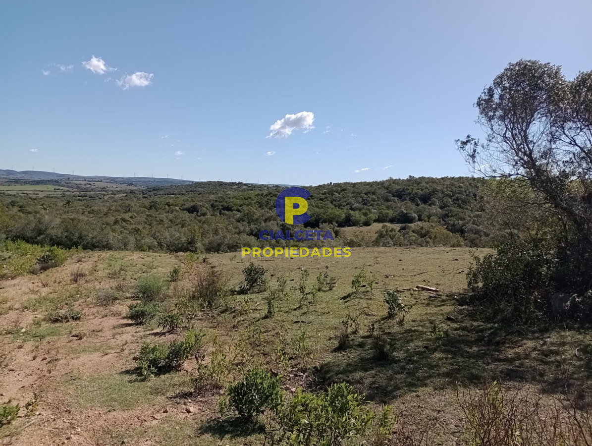 Chacra ID.292 - 5 hectáreas con monte y cañada