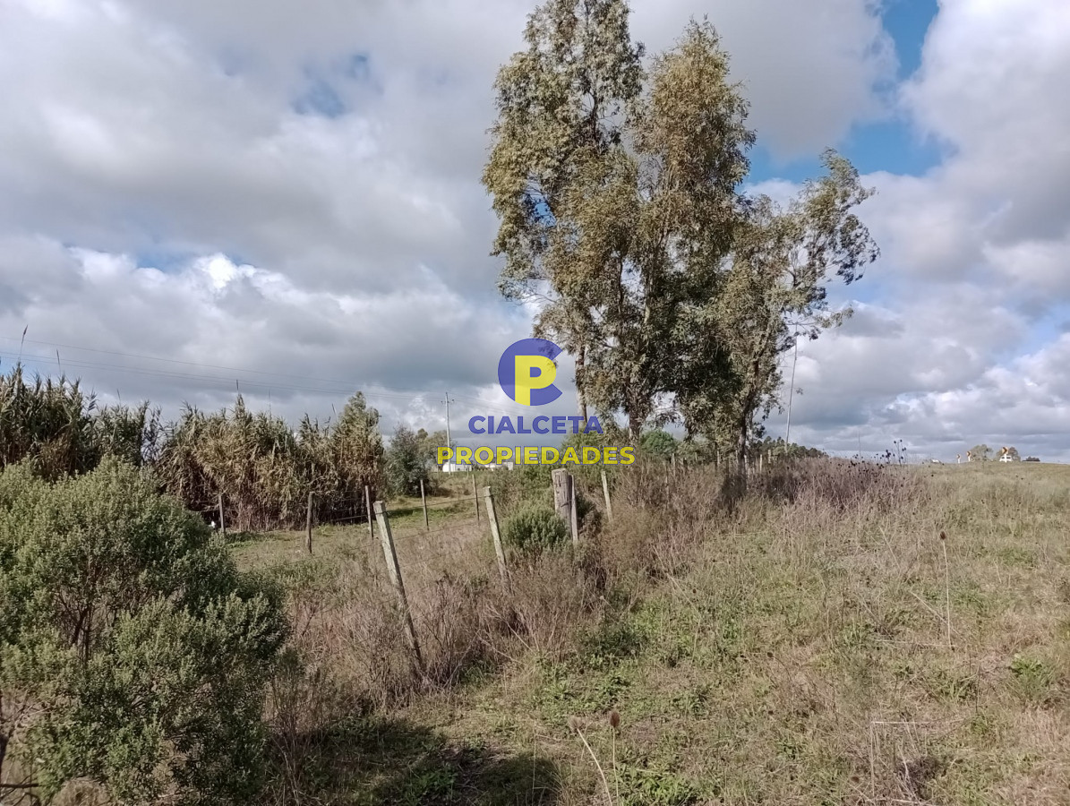 Chacra ID.259 - 3 hectáreas en Canelones