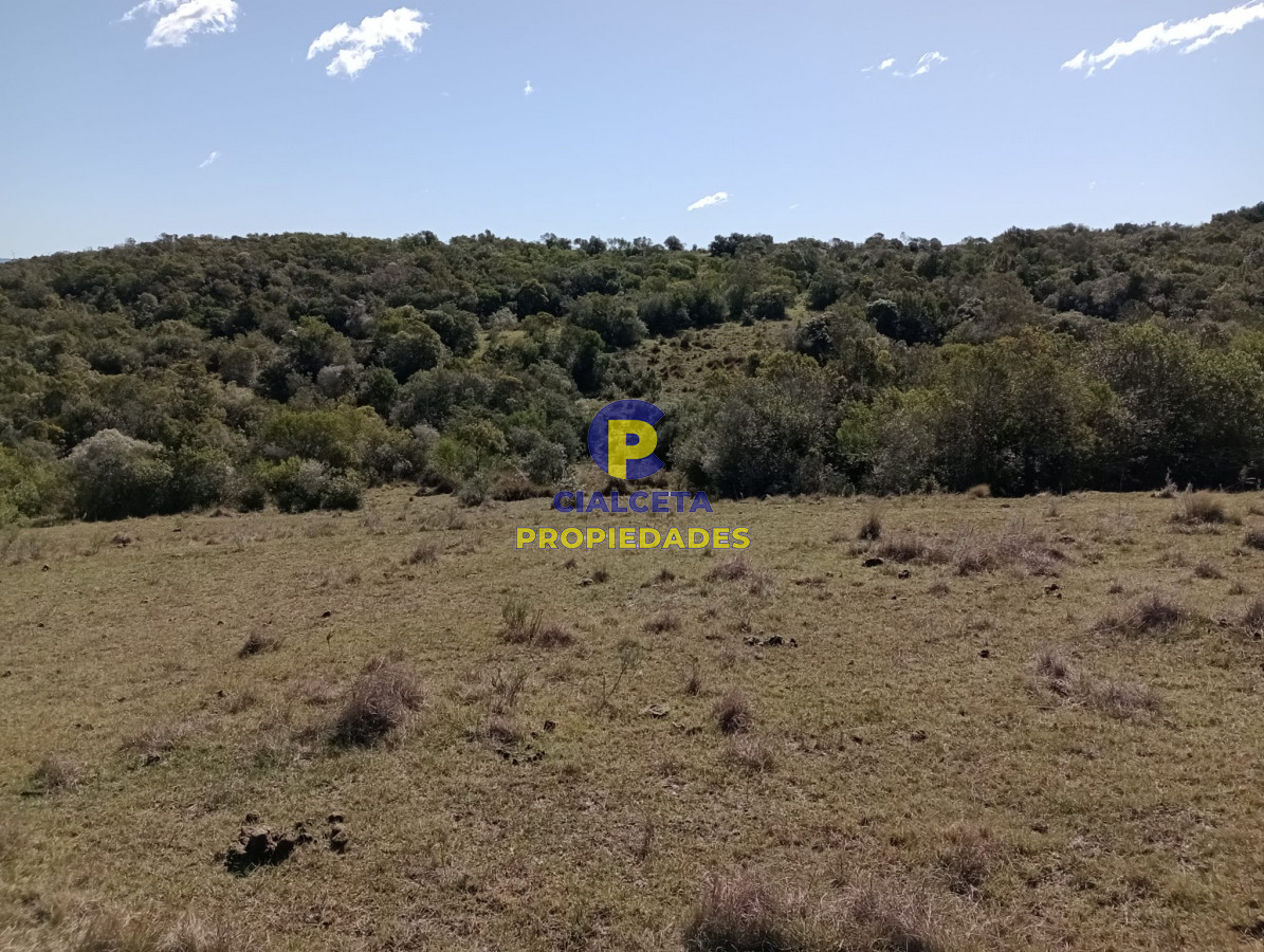 Chacra ID.292 - 5 hectáreas con monte y cañada