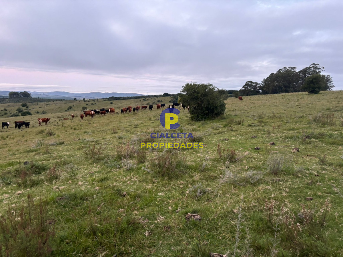 Chacra ID.431 - 5 hectáreas a 10 km de Pueblo Edén