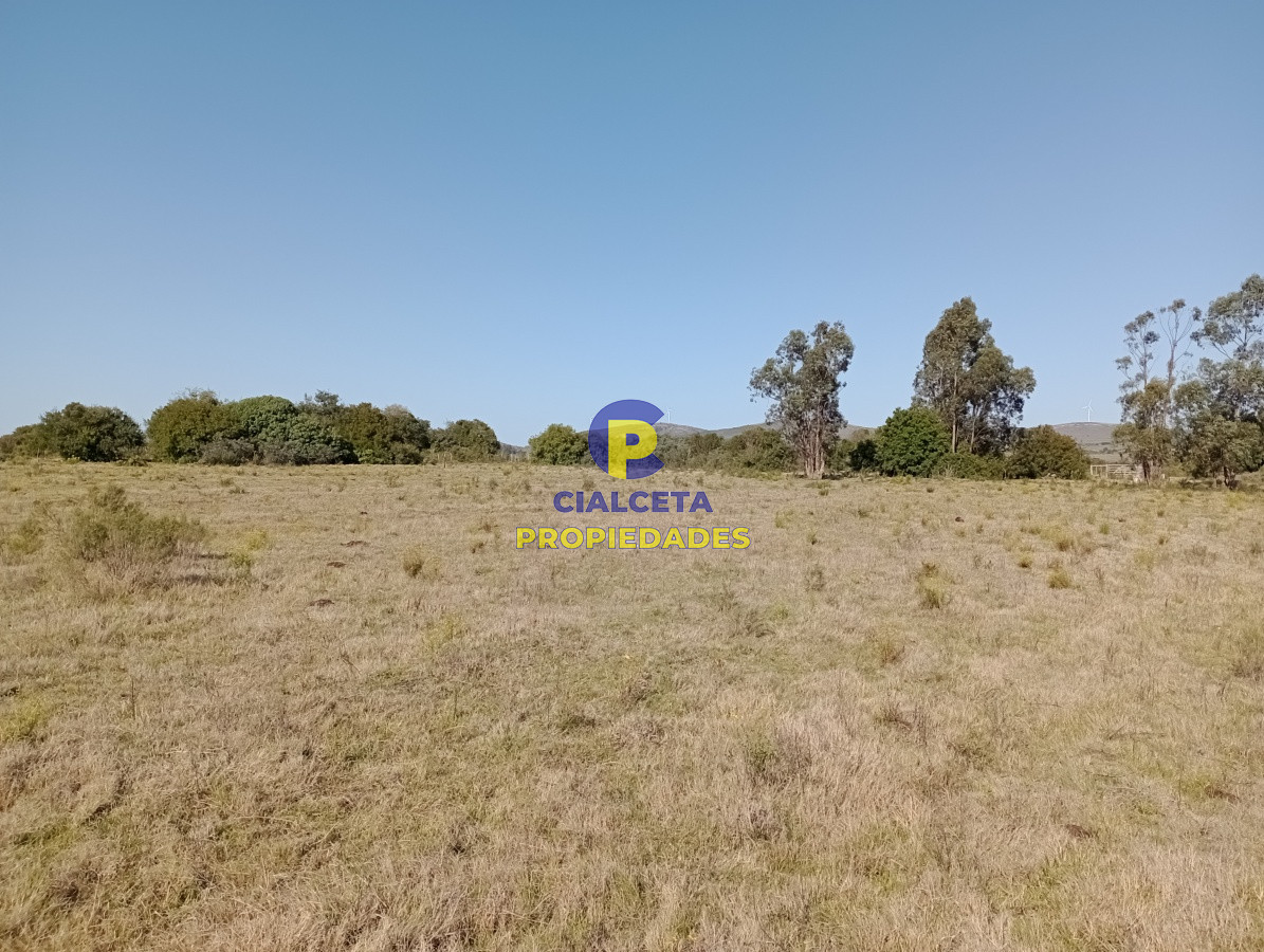 Chacra ID.213 - 11 hectáreas en Pueblo Edén