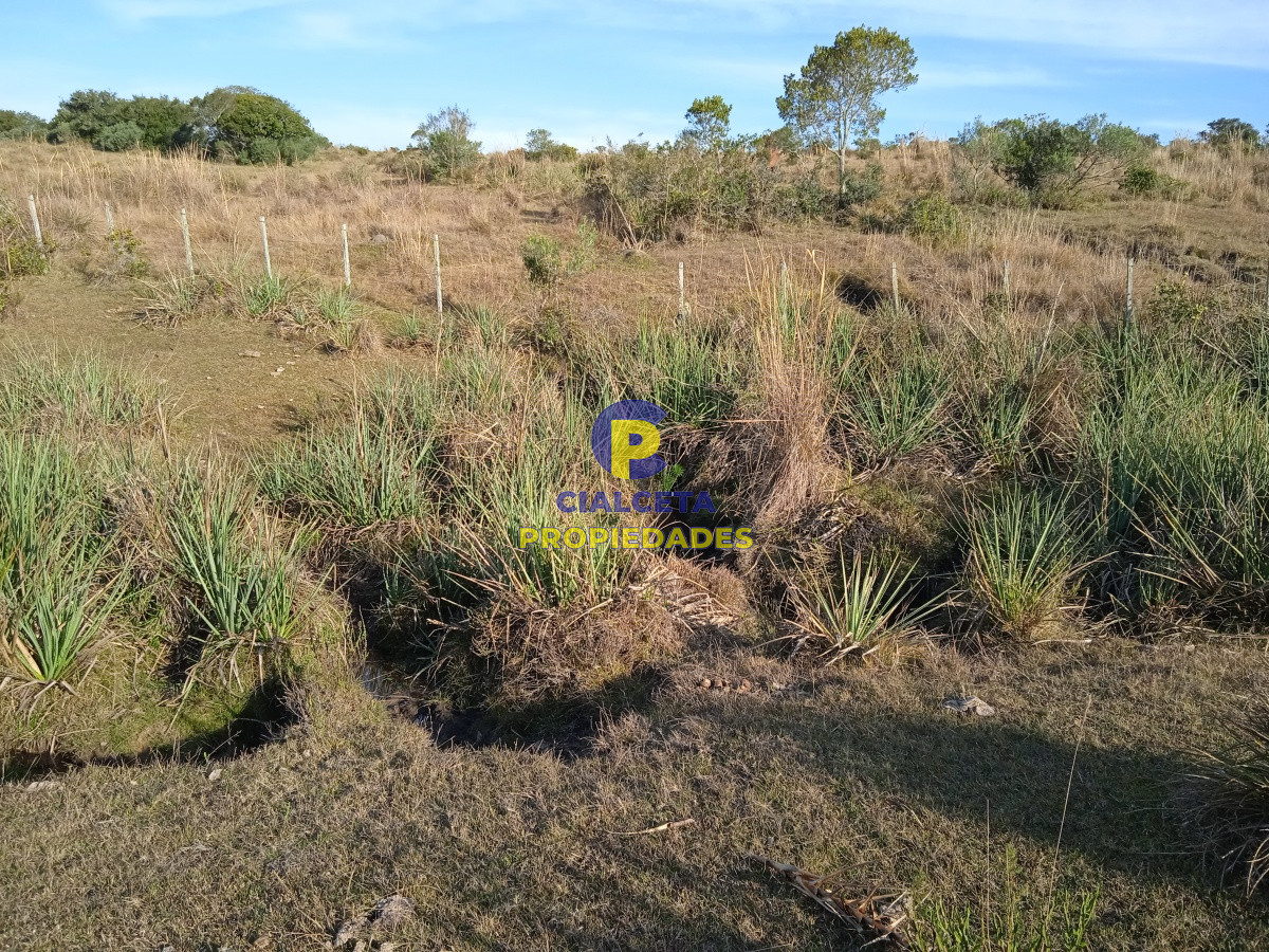 Chacra ID.204 - 5 hectáreas en Garzón