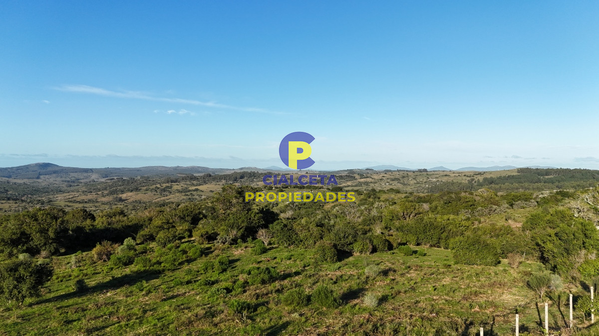 Chacra ID.456 - 4  hectáreas con monte nativo en Maldonado