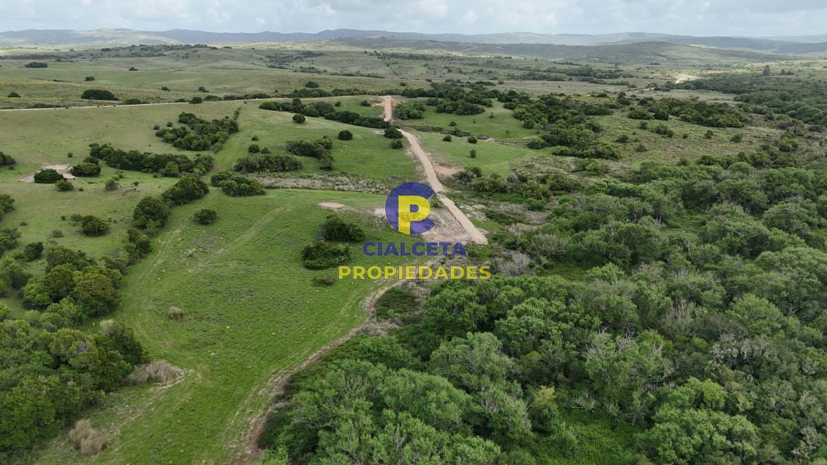 Chacra ID.560 - 4 hectáreas con 6.600 metros con monte y arroyo
