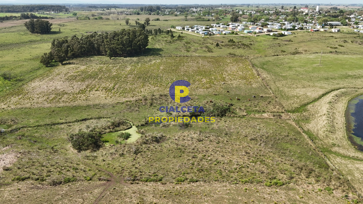 Chacra ID.527 - 3 hectáreas en Migues con aguada y linda vista