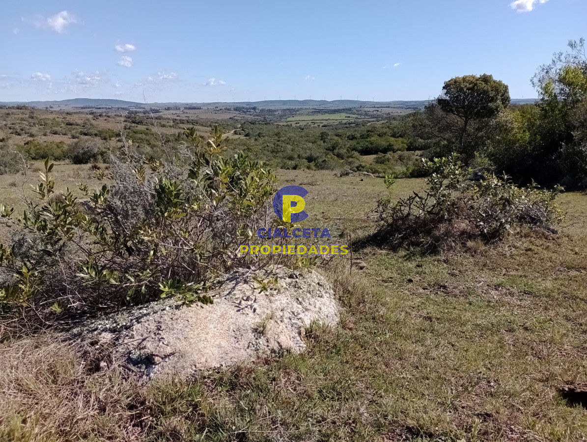 Chacra ID.292 - 5 hectáreas con monte y cañada
