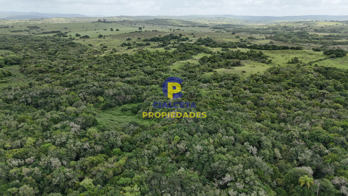 Chacra ID.560 - 4 hectáreas con 6.600 metros con monte y arroyo
